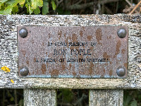 Ashton Windmill (AW): Who was a friend of the windmill?