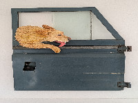 Haynes Museum Cafe (HM): Who is hanging from a Landrover door in the cafe?