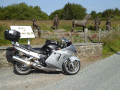 8. Roadside Sculptures, near Penuwch