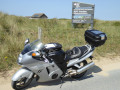 11. Ynyslas