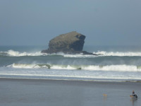 Gull Rock, Portreath