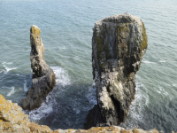 The Stack Rocks, Pembrokeshire Coast