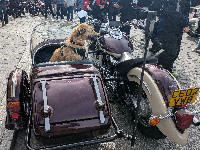Yamaha V Star 1100 Sidecar Outfit with Dog