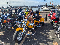 Yellow Trike with Dog