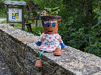 Flower Pot Person, Cambon-et-Salvergues, Hérault, France