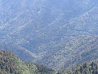 Mont Aigoual (1567 metres),Massif Central, France