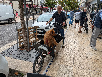 Dog on a Bike, Vichy, Allier