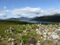 Mini cairns and Loch Loyne