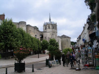Chateau Amboise