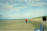 Schouwen-Duiveland Beach