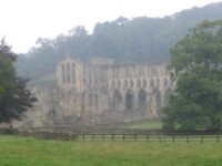 Rievaulx Abbey