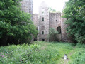 RBR 2008 South Ayrshire Old Dalquarran Castle (ruin) Near Dailly