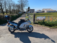 Pure Adrenalin, Lampeter